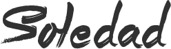 IEDP